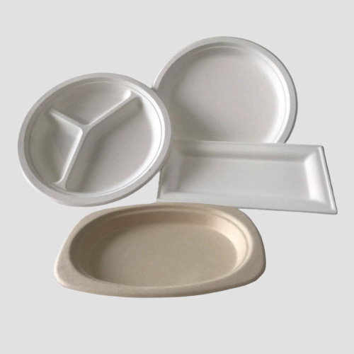 Eco-friendly Bagasse Plates and Trays